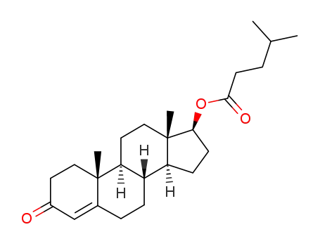 Testosterone isocaproate